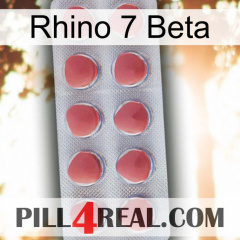 Rhino 7 Beta 18